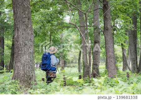 新緑の森でハイキングや登山を楽しむ景色を眺める歩く女性の健康的なアウトドアのライフスタイル 顔無し 新緑の森でハイキングや登山を楽しむ景色を眺める歩く女性の健康的なアウトドアのライフスタイル 顔無し 139681338