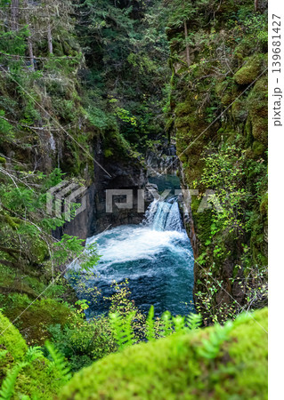 River in the rainforest and waterfall cascades among trees and ferns. 139681427