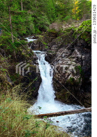 River in the rainforest and waterfall cascades among trees and ferns. River in the rainforest and waterfall cascades among trees and ferns. 139681429