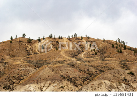 Semi-deserted grassland zone with brown grass and sparse bushes. Semi-deserted grassland zone with brown grass and sparse bushes. 139681431