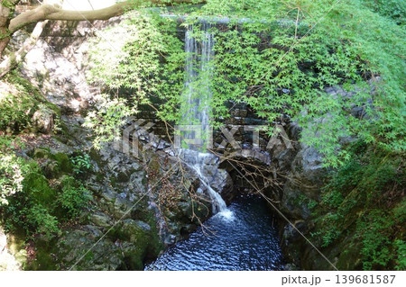 渓流の小さな滝と新緑 山の癒しの自然風景 渓流の小さな滝と新緑 山の癒しの自然風景 139681587