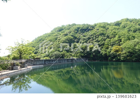 布引貯水池の古い石橋と新緑 歴史を感じる自然景観 139681623