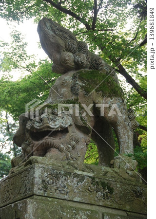 揖夜神社の狛犬(阿形像)（島根県松江市東出雲町揖屋） 139681849