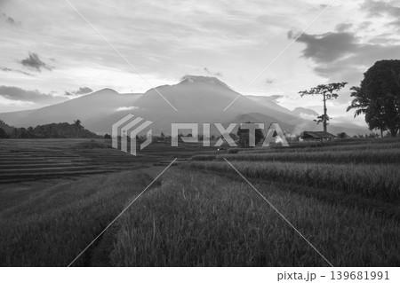 The natural beauty of the Indonesian mountains with beautiful tropical forests at sunrise The natural beauty of the Indonesian mountains with beautiful tropical forests at sunrise 139681991