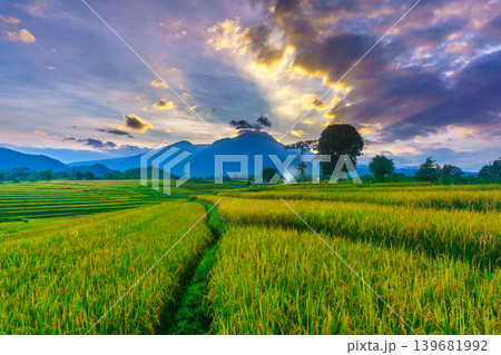 The natural beauty of the Indonesian mountains with beautiful tropical forests at sunrise 139681992