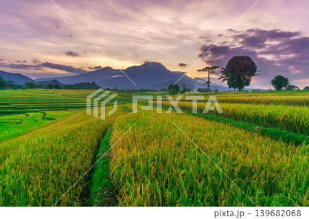 The natural beauty of the Indonesian mountains with beautiful tropical forests at sunrise 139682068