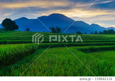 The natural beauty of the Indonesian mountains with beautiful tropical forests at sunrise 139682118