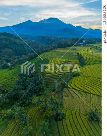 The natural beauty of the Indonesian mountains with beautiful tropical forests at sunrise The natural beauty of the Indonesian mountains with beautiful tropical forests at sunrise 139682126