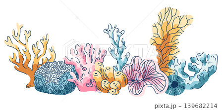 A set of marine benthic corals in a linear arrangement, arborescent, sponge and tube corals and algae of a coral reef A set of marine benthic corals in a linear arrangement, arborescent, sponge and tube corals and algae of a coral reef 139682214