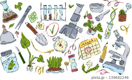 Large garden lab exploration kit, plant and soil samples, research tools, biology classroom elements Large garden lab exploration kit, plant and soil samples, research tools, biology classroom elements 139682246