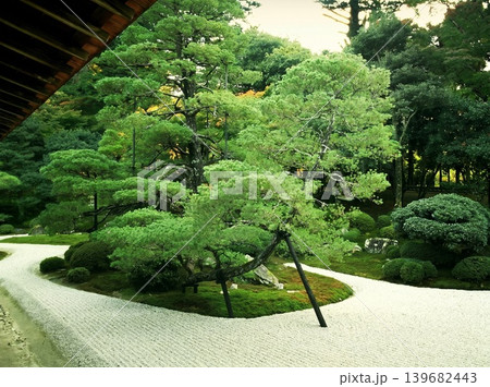 A peaceful collection of Japanese autumn landscapes featuring colorful maple trees, traditional temples, bamboo forests, and serene garden paths. These images capture the calm beauty of nature, warm A peaceful collection of Japanese autumn landscapes featuring colorful maple trees, traditional temples, bamboo forests, and serene garden paths. These images capture the calm beauty of nature, warm 139682443