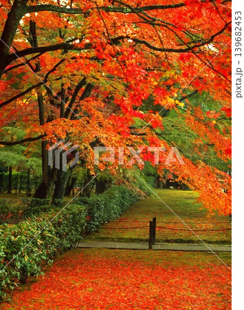 A peaceful collection of Japanese autumn landscapes featuring colorful maple trees, traditional temples, bamboo forests, and serene garden paths. These images capture the calm beauty of nature, warm 139682453