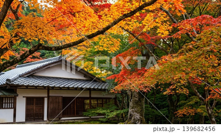 A peaceful collection of Japanese autumn landscapes featuring colorful maple trees, traditional temples, bamboo forests, and serene garden paths. These images capture the calm beauty of nature, warm A peaceful collection of Japanese autumn landscapes featuring colorful maple trees, traditional temples, bamboo forests, and serene garden paths. These images capture the calm beauty of nature, warm 139682456