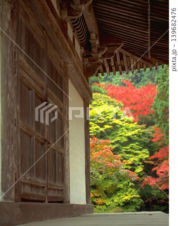 A peaceful collection of Japanese autumn landscapes featuring colorful maple trees, traditional temples, bamboo forests, and serene garden paths. These images capture the calm beauty of nature, warm A peaceful collection of Japanese autumn landscapes featuring colorful maple trees, traditional temples, bamboo forests, and serene garden paths. These images capture the calm beauty of nature, warm 139682476