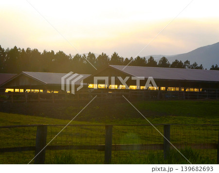 風薫る岩手県小岩井農場の夕景 宮沢賢治が愛した小岩井農場の夕景 風薫る岩手県小岩井農場の夕景 宮沢賢治が愛した小岩井農場の夕景 139682693
