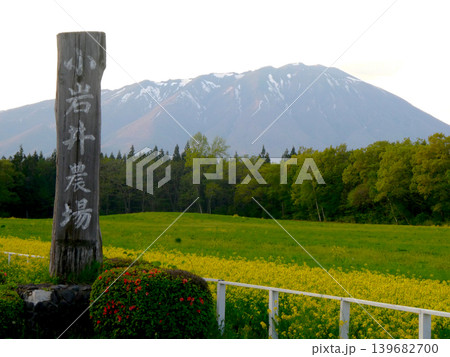 岩手県小岩井農場の創業からの看板と牧場風景、雄大な岩手山と牧草の緑と菜の花の黄色 139682700