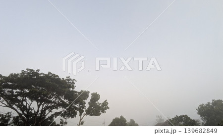 A dense layer of white mist covers the horizon, transitioning to pale blue-gray in the upper sky. Dark tree foliage frames the bottom left. Atmospheric nature background with copy space. 139682849