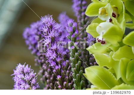 Purple Liatris and Green Cymbidium Flowers Close Up Purple Liatris and Green Cymbidium Flowers Close Up 139682970