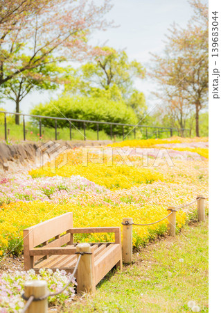 春の公園のベンチと花壇のある風景 139683044