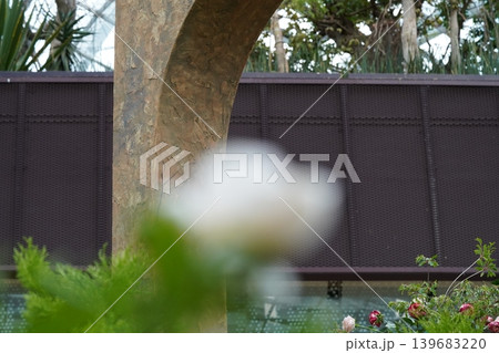 Garden archway with roses in foreground outdoor scene Garden archway with roses in foreground outdoor scene 139683220