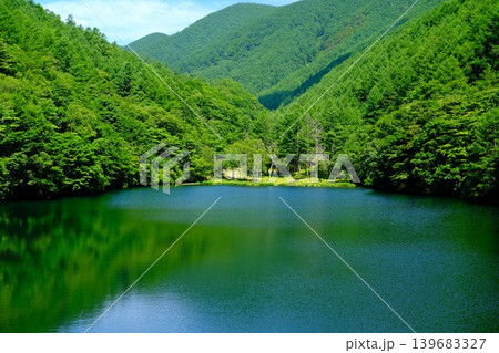 新緑のダム湖 139683327
