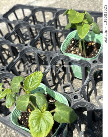 カートに乗った野菜、オクラ　 139683625