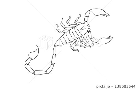上から見たサソリの線画イラスト 上から見たサソリの線画イラスト 139683644