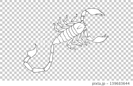上から見たサソリの線画イラスト 上から見たサソリの線画イラスト 139683644