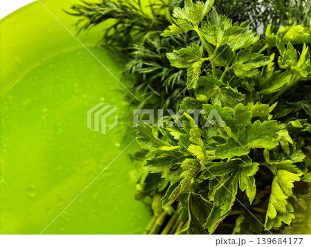 Fresh Green Herbs On Bright Green Plate Fresh Green Herbs On Bright Green Plate 139684177