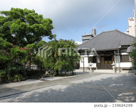 サルスベリが咲く墨田区の法泉寺(本堂) サルスベリが咲く墨田区の法泉寺(本堂) 139684299