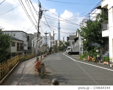 墨田区の白鬚神社前にある旧墨堤の道 墨田区の白鬚神社前にある旧墨堤の道 139684344