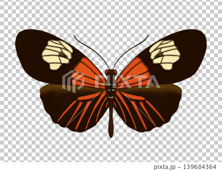 Illustration of a Red-striped Poisonous Butterfly (Aesculus scoparius) - Image - Butterfly - Clipart - Illustration - PNG Illustration of a Red-striped Poisonous Butterfly (Aesculus scoparius) - Image - Butterfly - Clipart - Illustration - PNG 139684364