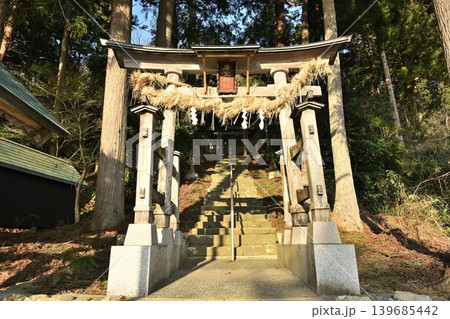 杉並木と岩室神社(新潟県新潟市西蒲区) 杉並木と岩室神社(新潟県新潟市西蒲区) 139685442