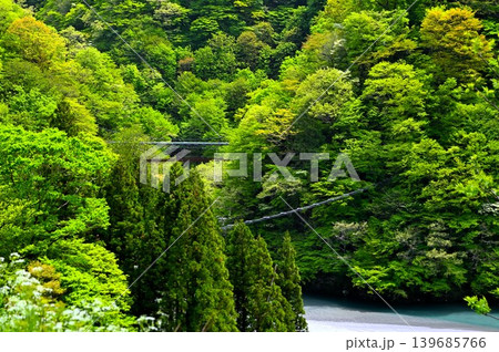 渓谷にかかるつり橋の風景 139685766