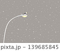 カモメと電灯と雪の結晶のイラスト 139685845