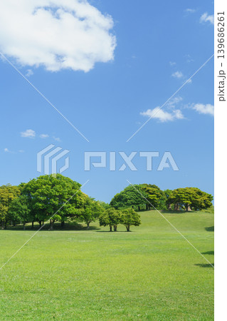 青空と新緑|千葉県千葉市・千葉ポートパーク 青空と新緑|千葉県千葉市・千葉ポートパーク 139686261