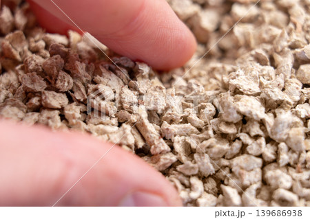 Close up of fingers picking up plant based cat litter granules with dry porous texture and lightweight structure. Absorbent material Close up of fingers picking up plant based cat litter granules with dry porous texture and lightweight structure. Absorbent material 139686938