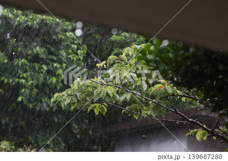 天気 雨 天気 雨 139687280
