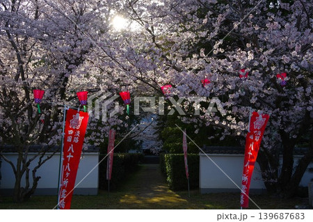 兵庫県淡路市 西念寺の桜 兵庫県淡路市 西念寺の桜 139687683