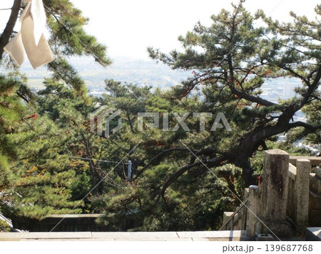 2014年・香川・観音寺・八幡・風景・神社・琴引八幡宮・其の百四十三 2014年・香川・観音寺・八幡・風景・神社・琴引八幡宮・其の百四十三 139687768