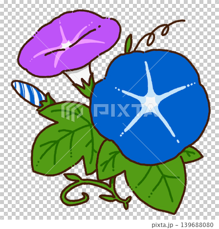 Cute hand-drawn morning glory illustration Cute hand-drawn morning glory illustration 139688080