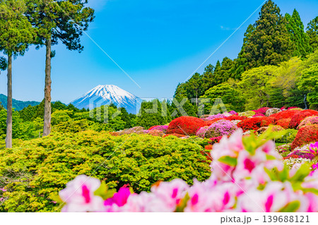(神奈川県)山のホテルの美しいつつじ庭園から眺める富士山 (神奈川県)山のホテルの美しいつつじ庭園から眺める富士山 139688121