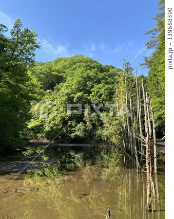 水辺と新緑が広がる日本の自然風景 水辺と新緑が広がる日本の自然風景 139688390