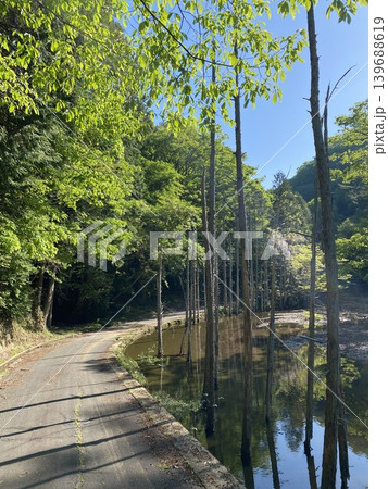 新緑と水辺に囲まれた日本の森林道路風景 139688619