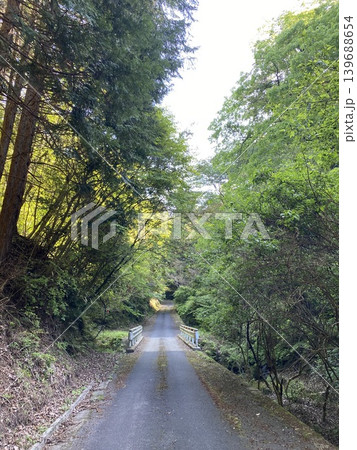 森に包まれた一本道と橋が続く日本の自然風景 139688654