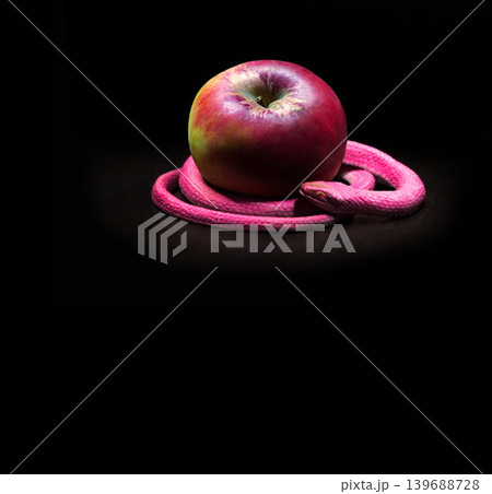 The snake lies near the apple 139688728