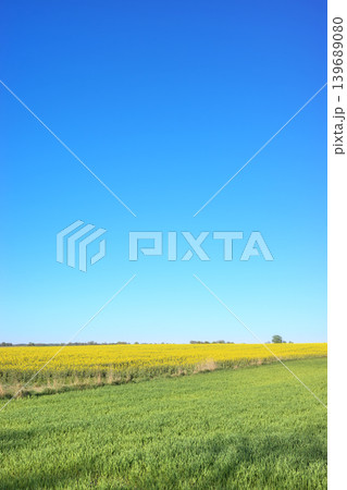 Farmland in the spring, rural landscape. Farmland in the spring, rural landscape. 139689080