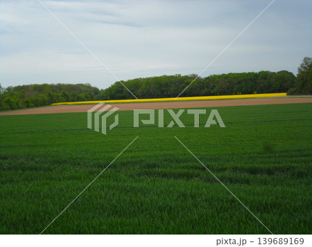 green field and blue sky with green grass green field and blue sky with green grass 139689169