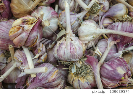 Fresh garlic bulbs background texture. Fresh garlic bulbs background texture. 139689574