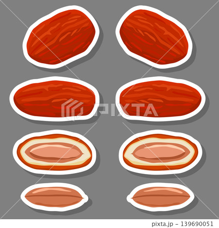Illustration on theme different types of date fruit for healthy life 139690051